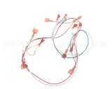 37334 Blodgett Harness, Infinite Add-In