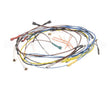 37401.0000 Bunn Wiring Harness Main