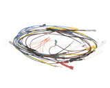 37401.0000 Bunn Wiring Harness Main