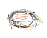 37401.0000 Bunn Wiring Harness Main