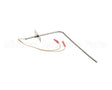 37519 Blodgett Probe, Rtd 1000 Ohm (Iq2-Pro3)
