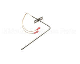37519 Blodgett Probe, Rtd 1000 Ohm (Iq2-Pro3)