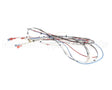 38040.0028 Bunn Wiring Harness, Main Icb Sh