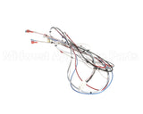 38040.0028 Bunn Wiring Harness, Main Icb Sh