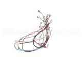 38040.0028 Bunn Wiring Harness, Main Icb Sh