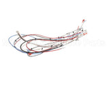 38040.0028 Bunn Wiring Harness, Main Icb Sh