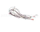 38040.0028 Bunn Wiring Harness, Main Icb Sh