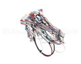 38040.0029 Bunn Wiring Harness, Main Icb Twin Sh