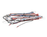 38040.0029 Bunn Wiring Harness, Main Icb Twin Sh