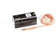 384591 Accurex Control,Temp,Limit,High,Jci A19A