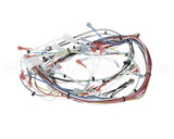 38940.0005 Bunn Wiring Harness, Main Imix-5S