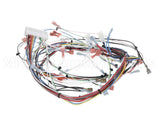 38940.0005 Bunn Wiring Harness, Main Imix-5S