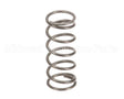 39110035 Rancilio Water-Steam Cock Spring