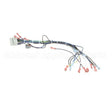39235 Compatible Blodgett Harness, Cntl Sh1G/Zephg 2Spd