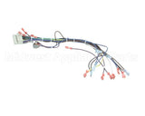 39235 Blodgett Harness,Cntl Sh1G/Zephg 2Spd