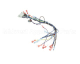 39235 Blodgett Harness,Cntl Sh1G/Zephg 2Spd