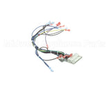 39235 Blodgett Harness,Cntl Sh1G/Zephg 2Spd
