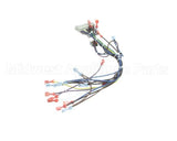 39235 Blodgett Harness,Cntl Sh1G/Zephg 2Spd