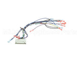 39235 Blodgett Harness,Cntl Sh1G/Zephg 2Spd