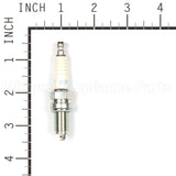 3932 NGK Dcpr7E Spark Plug