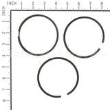 394959 Briggs & Stratton Ring Set-Std