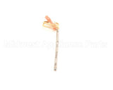 39504 Blodgett Probe,Rtd 1000 Ohm
