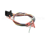 39835 Blodgett Harness, Wiring Rear
