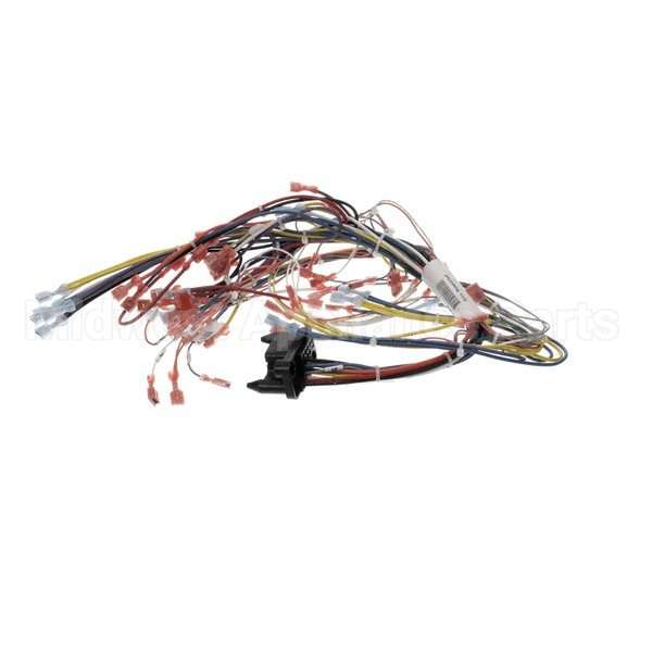 39836 Compatible Blodgett Harness, Infinite Wire