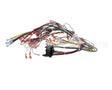 39836 Blodgett Harness, Infinite Wire