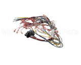 39836 Blodgett Harness, Infinite Wire