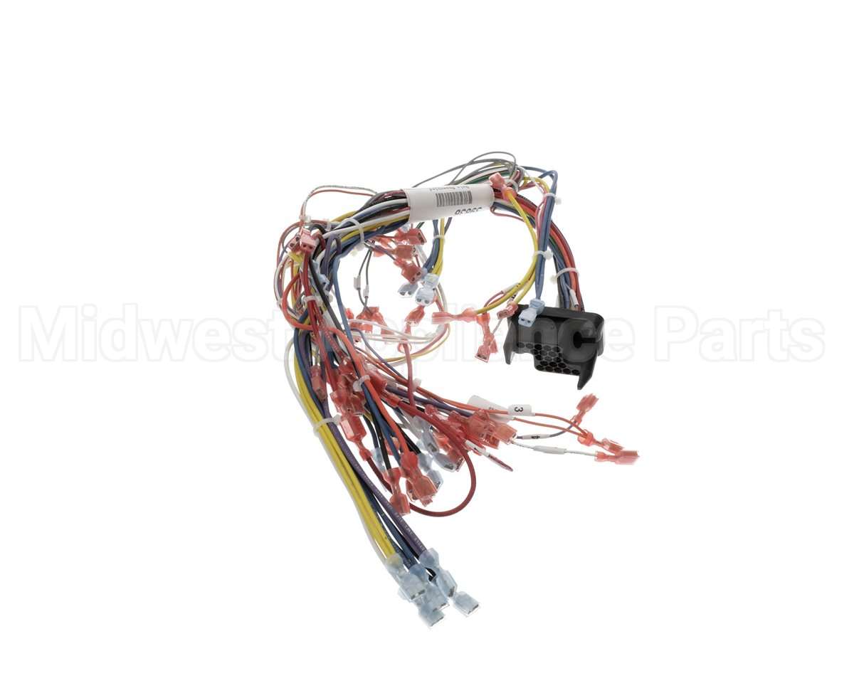 39836 Blodgett Harness, Infinite Wire