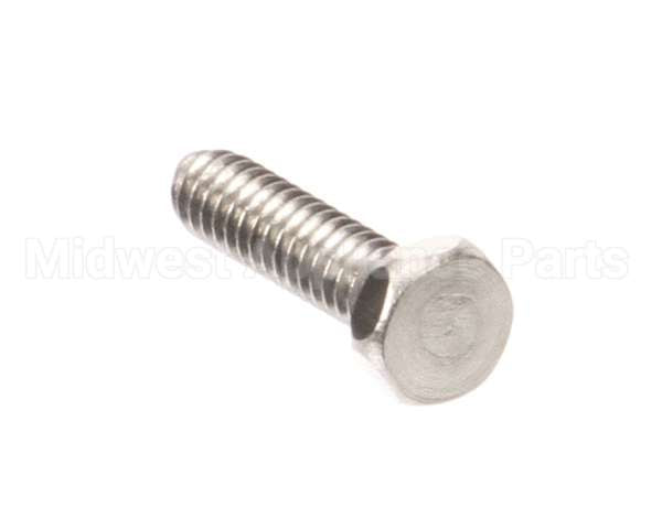 1307 Globe Screw