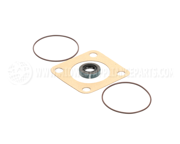 807-1197-3 Frymaster Viking Pump Seal Kit