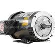 3P200T4RM-56HC Pems Motor
