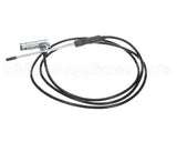 40.01.843P Rational Meat Probe Sensor W. Angle Plug