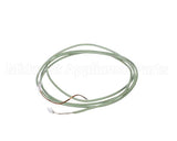 40.04.107P Rational Thermocouple Steam Generator