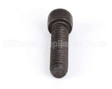 1238 Globe Screw