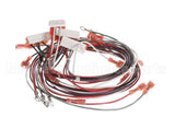 402025 Fetco Harness Low Amp Electrical