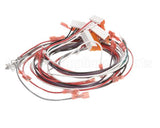 402025 Fetco Harness Low Amp Electrical