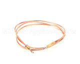 40400100 Firex Thermocouple M9X1 L1200