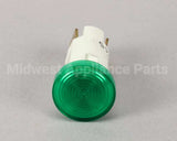 4060315 Antunes Ind. Light,Grn-250V