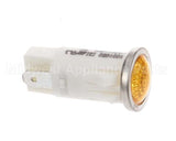 407452 Legion Amber Light