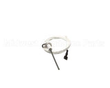 411410040 Besco Flame Rod Sensor