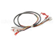 41202.0008 Bunn Wiring Harness, Door-Cbdspct