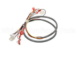 41202.0008 Bunn Wiring Harness, Door-Cbdspct