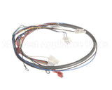 41202.0012 Bunn Wiring Harn, Door Pc-Juice (Disp Sw)