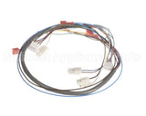 41202.0012 Bunn Wiring Harn, Door Pc-Juice (Disp Sw)