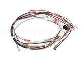 41390.0001 Bunn Wiring Harn, Toggle 1L/2U