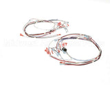 41390.7011 Bunn Wiring Harness,Tgl Dgtl Timer