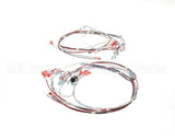 41390.7011 Bunn Wiring Harness,Tgl Dgtl Timer